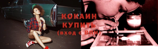 мяу мяу мука Инсар