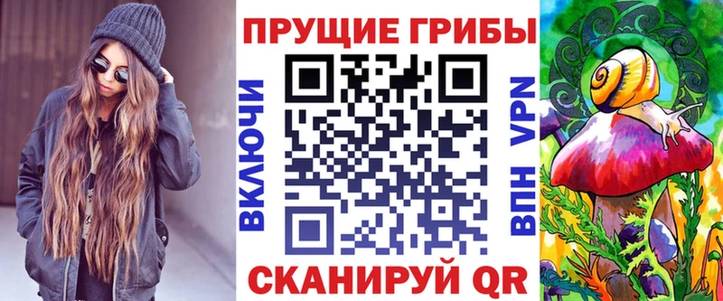 где купить   Долгопрудный  Псилоцибиновые грибы мухоморы 